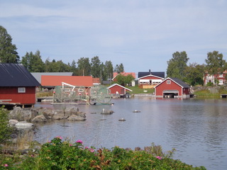Gåsholma